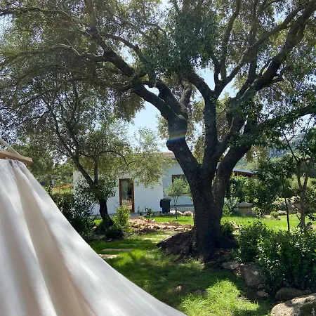 Sa Istera Sardegna Casa de hóspedes Olbia