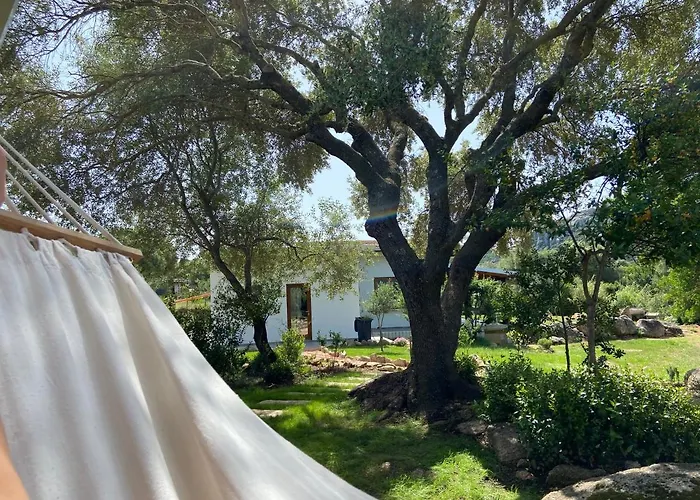 Sa Istera Sardegna Gasthuis Olbia